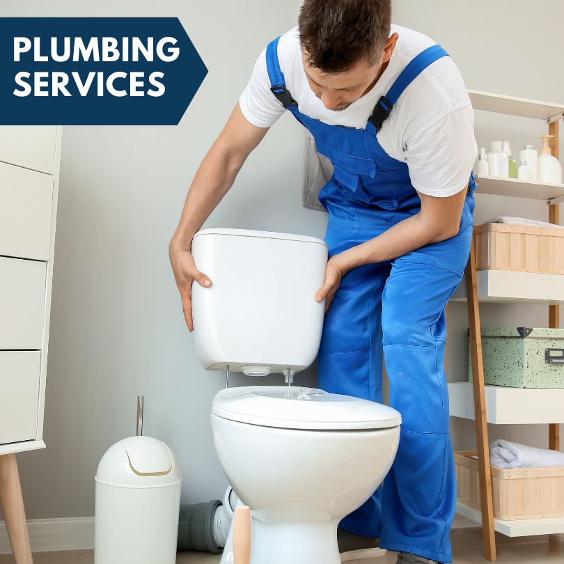 Plumbing Company in Earlton, NY